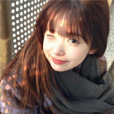鸽之翼